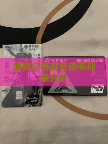 小贷公司贷款负债率高