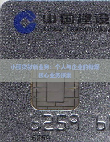 小额贷款新业务 小额贷款新业务
