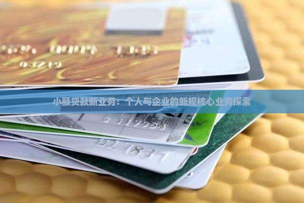 小额贷款新业务 小额贷款新业务