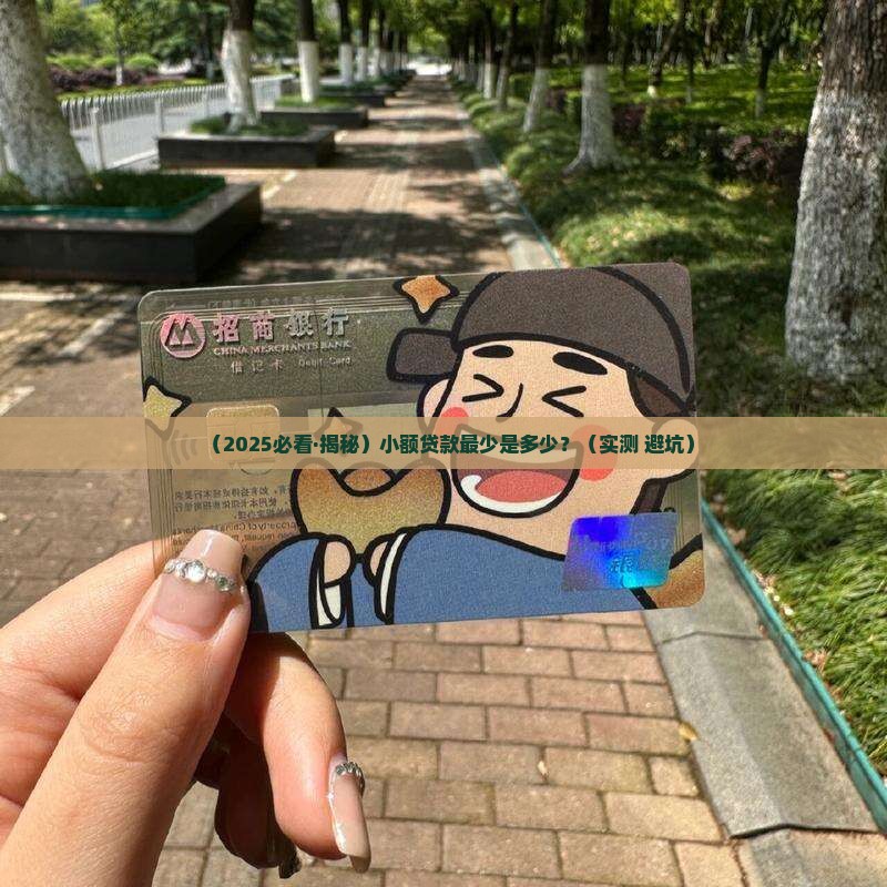 什么是最小额贷款