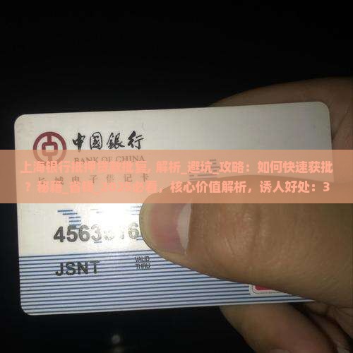 上海银行抵押贷款批复
