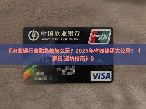 农业银行自助贷款