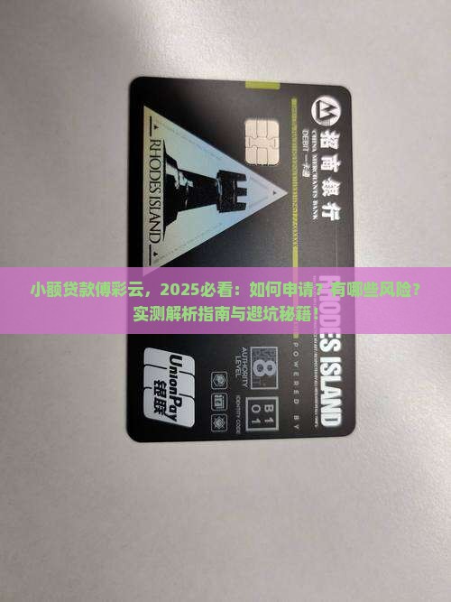 小额贷款傅彩云