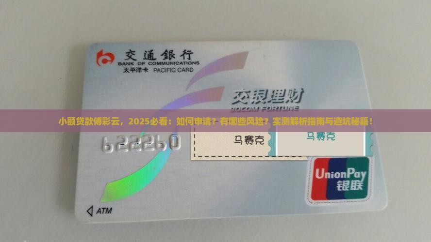 小额贷款傅彩云