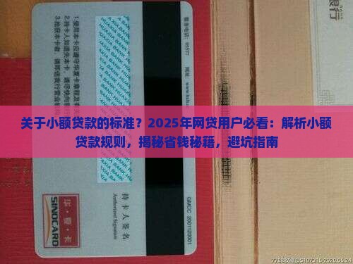 关于小额贷款的标准