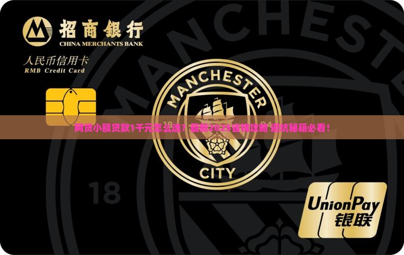 网贷小额贷款1千元