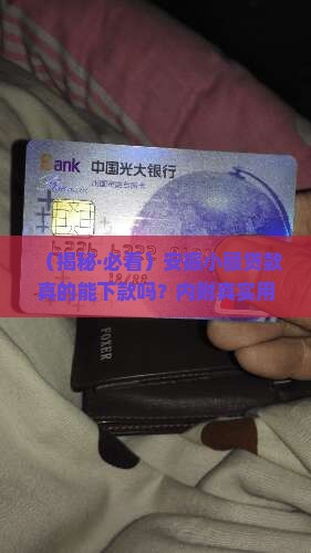 安振小额贷款有下款的吗