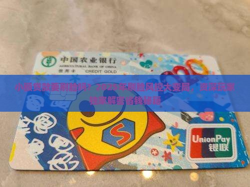 小额贷款要刷脸吗 小额贷款要刷脸吗