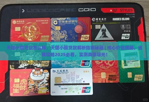 天健小额贷款怎么样
