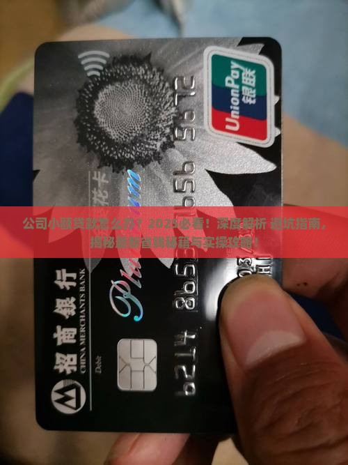 公司小额贷款怎么办