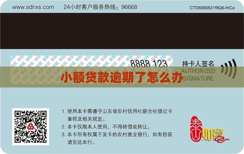 小额贷款逾期一家