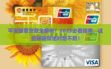 平安普惠有那些贷款