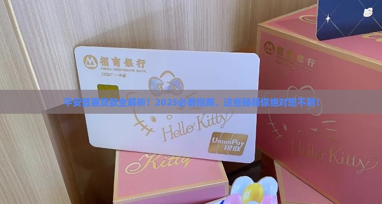 平安普惠有那些贷款