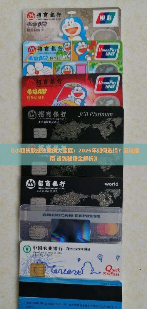 小额贷款成效案例