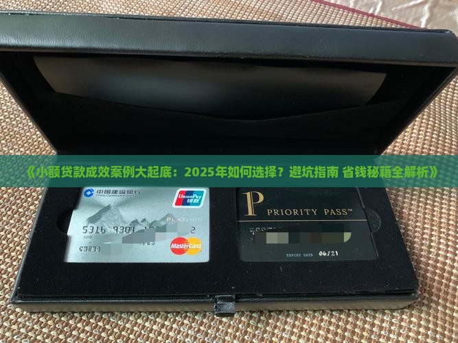 小额贷款成效案例