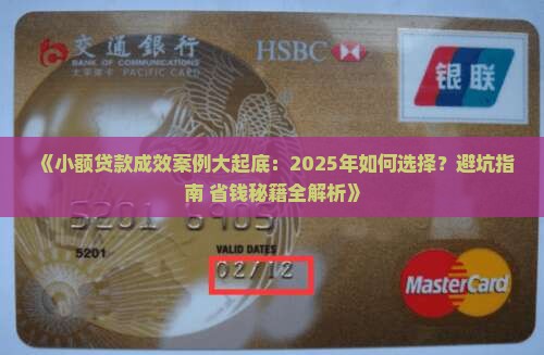 小额贷款成效案例