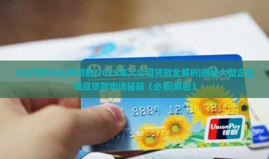 大公司有什么贷款的 大公司有什么贷款的