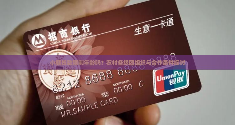 小额贷款限制年龄吗