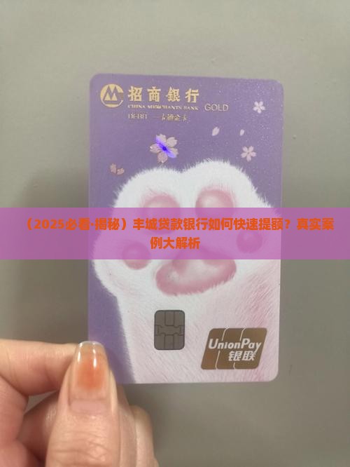 丰城贷款银行提额流程 丰城贷款银行提额流程