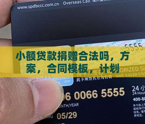 小额贷款捐赠