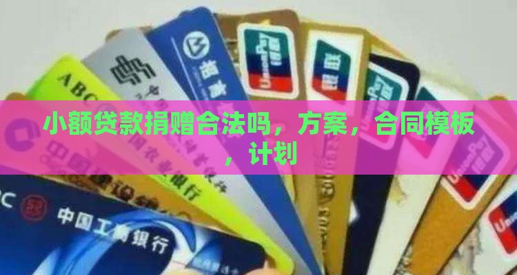 小额贷款捐赠