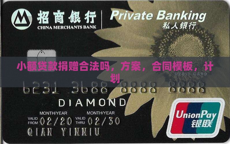 小额贷款捐赠
