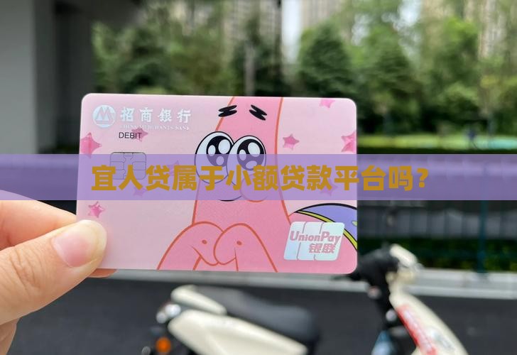 宜人贷属于小额贷款吗