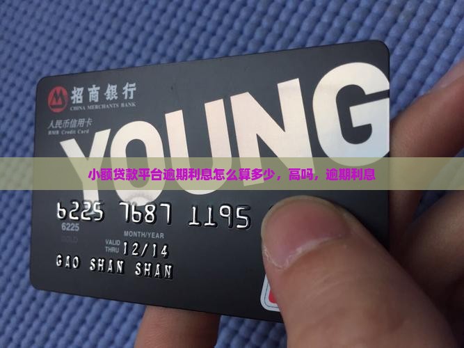 小额贷款平台逾期利息