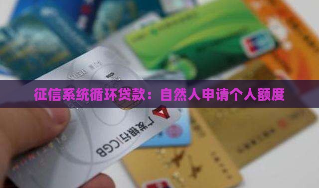 征信系统循环贷款