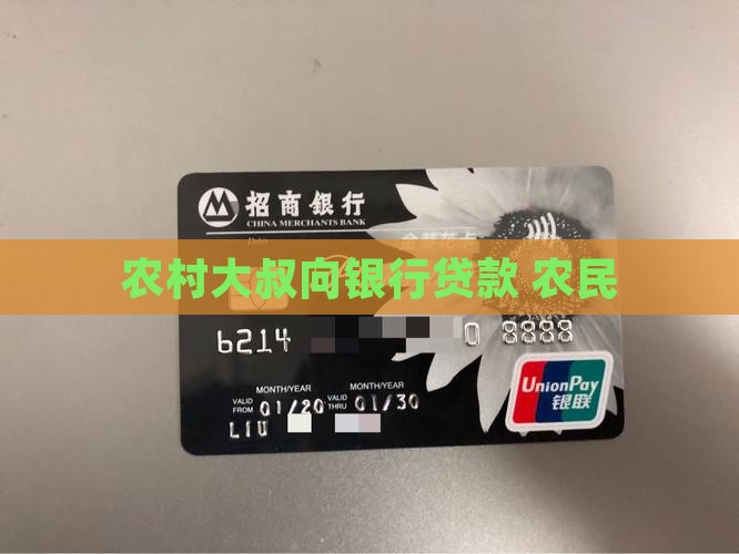 农村大叔找银行贷款