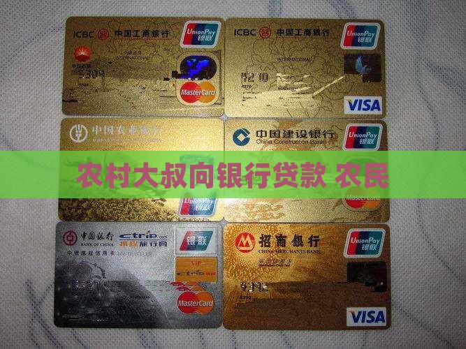 农村大叔找银行贷款