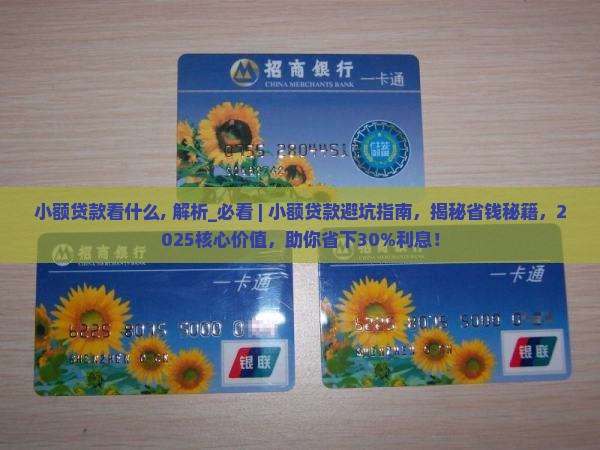 小额贷款看什么
