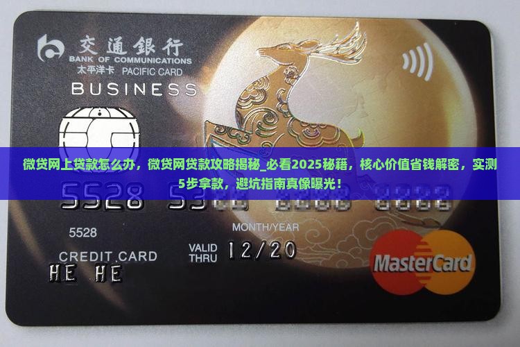 微贷网上贷款怎么办