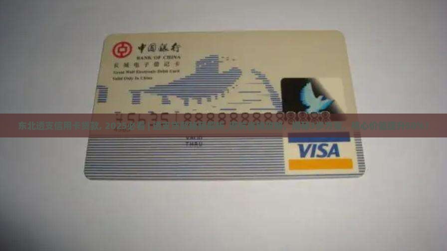 东北透支信用卡贷款