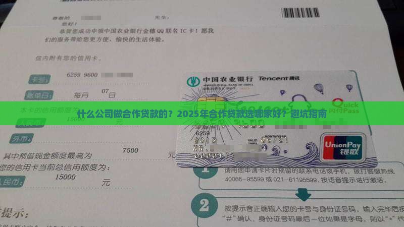 什么公司做合作贷款的