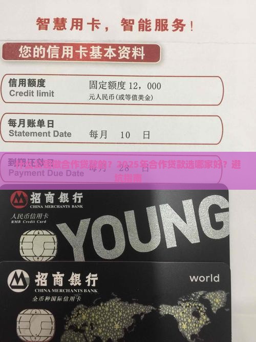 什么公司做合作贷款的