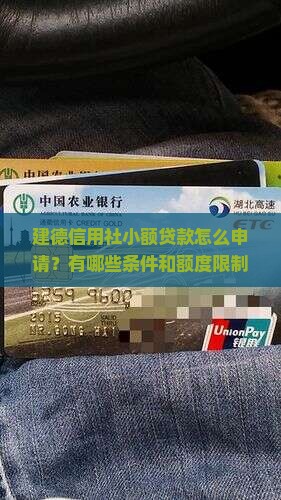 建德信用社小额贷款