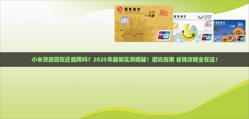 小米贷款现在可以用吗
