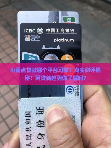 小雨点贷款哪个平台可靠
