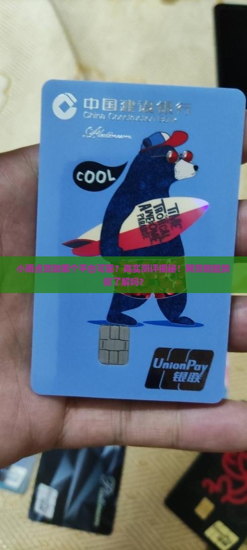 小雨点贷款哪个平台可靠