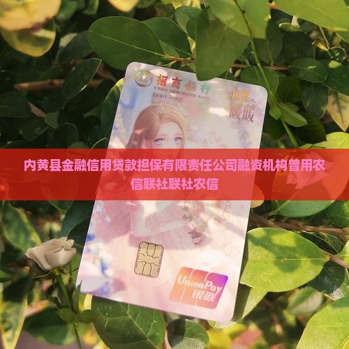 内黄金融授信用贷款
