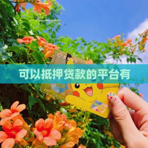 可以抵押贷款的平台有