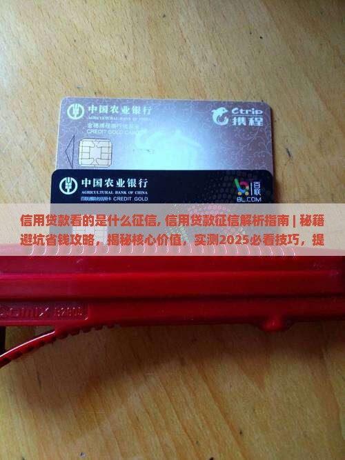 信用贷款看的是什么征信