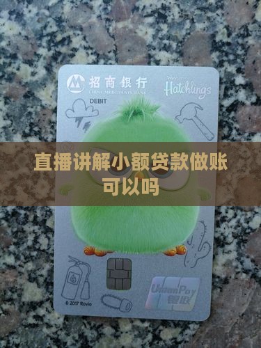 小额贷款做账直播可以吗