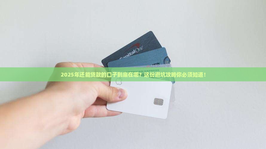 可以在银行贷款的口子