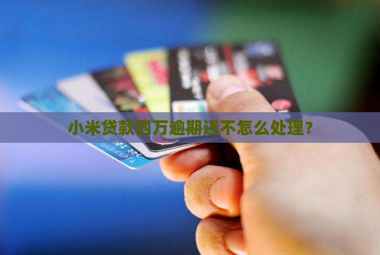 小米贷款4万元逾期怎么办