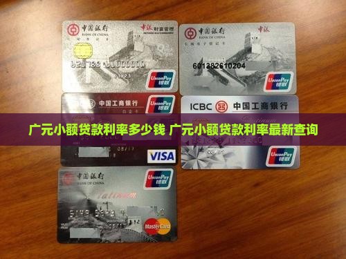 广元小额贷款利率多少钱