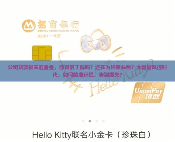 公司贷款损失准备金