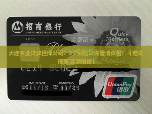 大连农业贷款担保公司