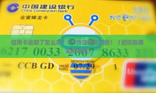 信用贷款信用卡逾期